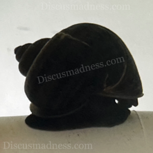 Black Mystery Snail