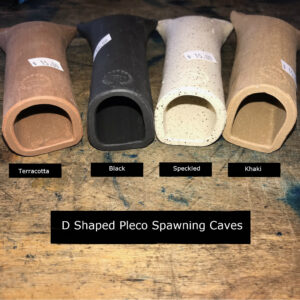1.25 " D shaped Spawning Cave for Plecostomus