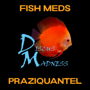 Praziquantel