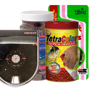 Fish Food and Feeders