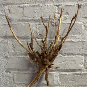 Pine Spider wood