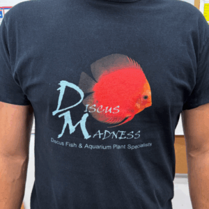 Discus Madness Black T-Shirt