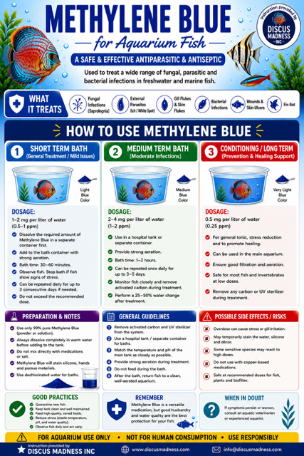 Methylene Blue Guide
