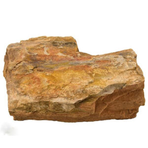 Petrified Wood (Assorted Size) 25lb