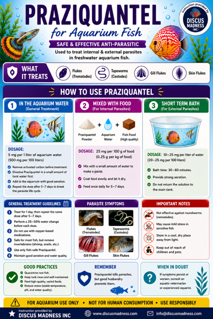 Praziquantel Guide