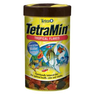Tetra Min Tropical Flakes (62g)