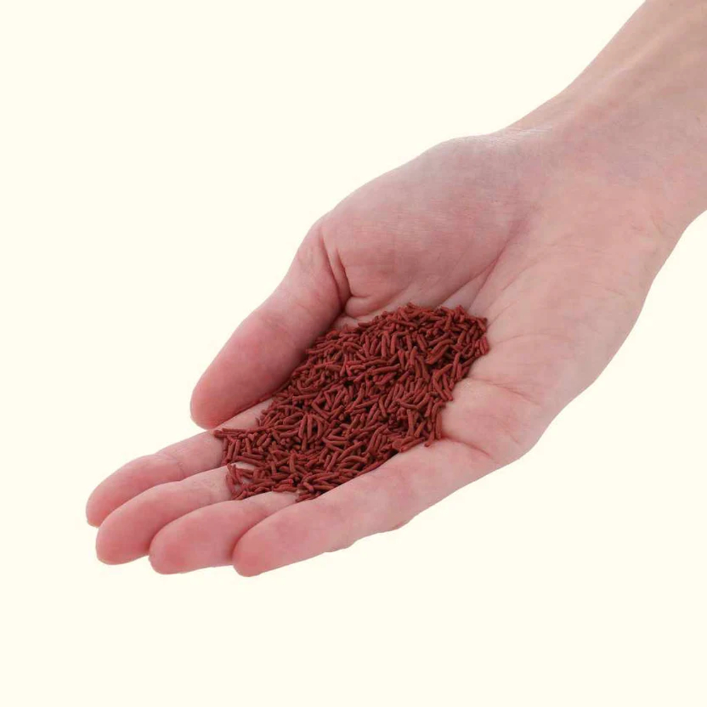 Xtreme- Wrigglers - Image 2