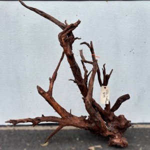 XXL DRIFTWOOD